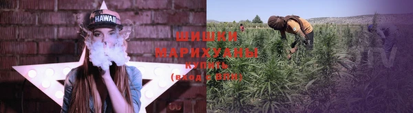 PSILOCYBIN Балахна